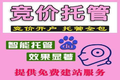 成功企业SEM竞价代运营案例研究
